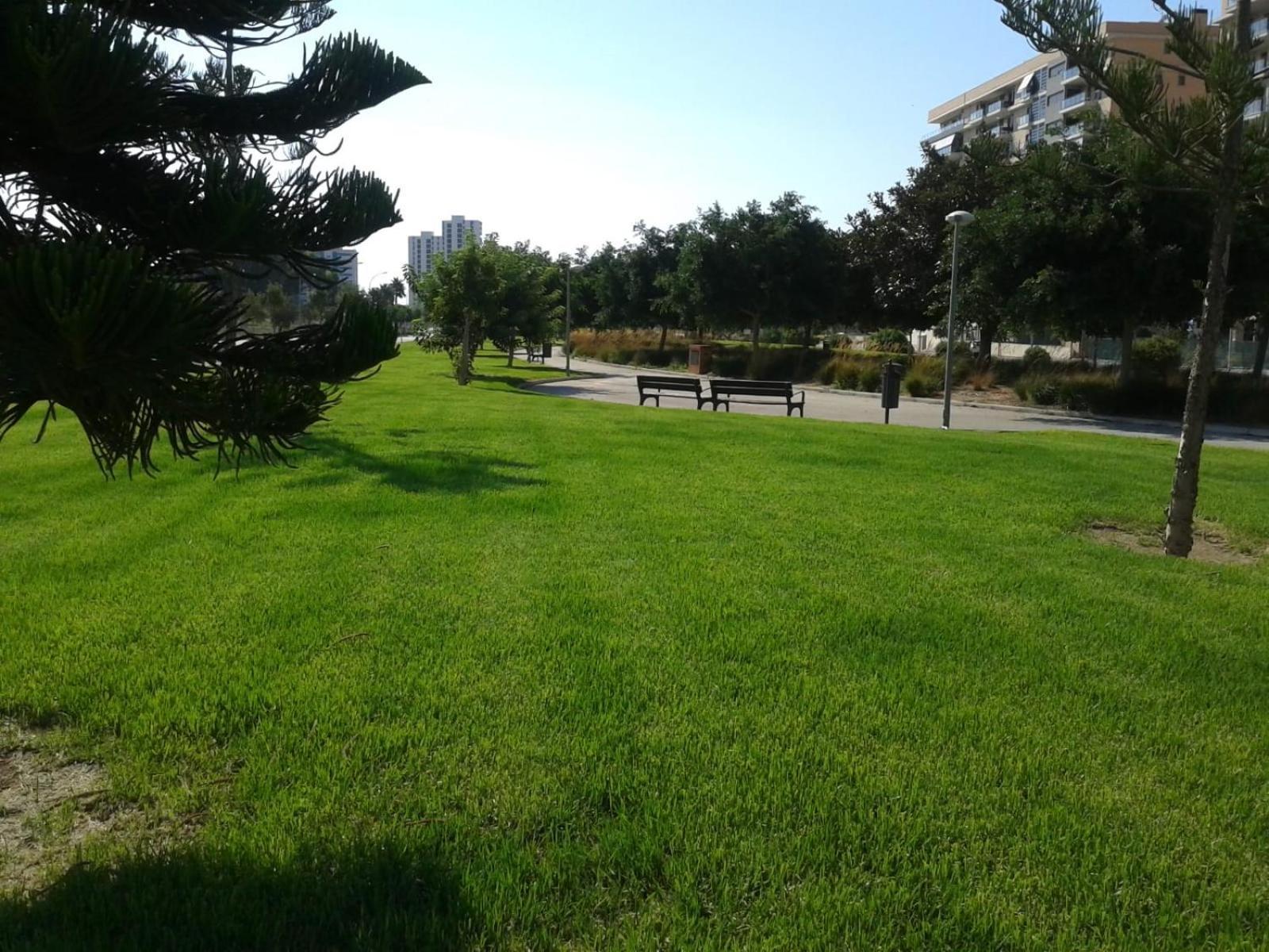 אליקאנטה Loft San Juan Beach חדר תמונה